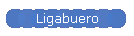 Ligabuero